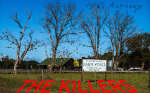Nature's Way Farm Stall | The Crags, Western Cape, South Africa