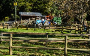 Natures Way Farm Stall | The Crags, Plettenberg Bay, Western Cape, South Africa