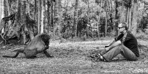 Brad Anthony, Founder of Global Animal Welfare Development Society