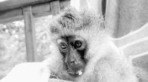 Hope's Story - Chapter 1