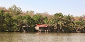 Chimpanzee Rehabilitation Project