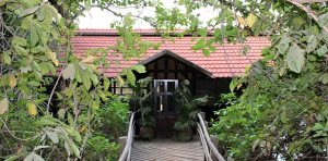 Chimpanzee Rehabilitation Project