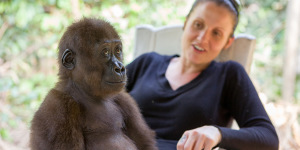Ape Action Africa