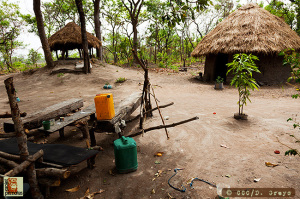 Chimpanzee Conservation Center