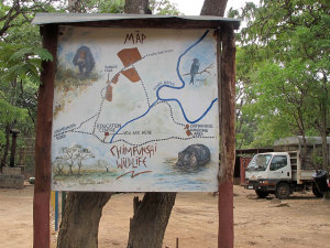 Chimfunshi Wildlife Orphanage