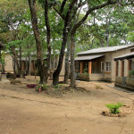 Chimfunshi Wildlife Orphanage