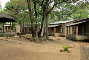 Chimfunshi Wildlife Orphanage