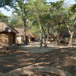 Chimfunshi Wildlife Orphanage