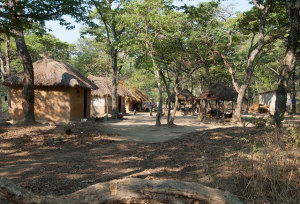 Chimfunshi Wildlife Orphanage
