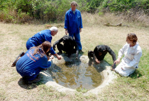 Chimfunshi Wildlife Orphanage