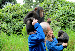 Chimfunshi Wildlife Orphanage