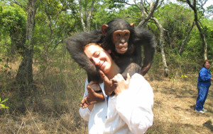 Chimfunshi Wildlife Orphanage