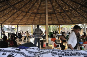 Chimfunshi Wildlife Orphanage