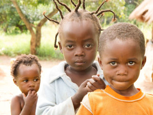 Chimfunshi Wildlife Orphanage