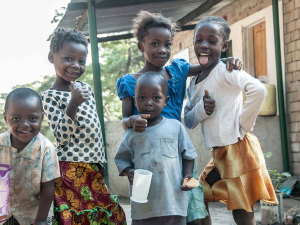 Chimfunshi Wildlife Orphanage