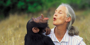 Jane Goodall Interview