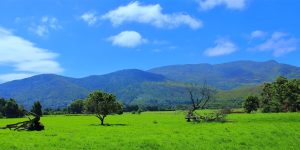 Tsitsikamma National Park, ZA