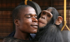 Lwiro Primate Rehabilitation Centre