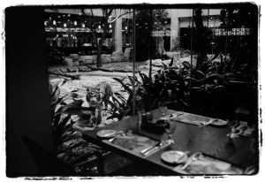 White Tiger Restaurants @ Guangzhou Chimelong Hotel, China