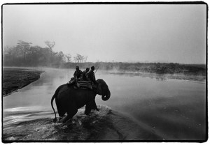 Soldiers use elephants used to track poachers