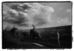 Rangers @ Kaziranga National Park, Assam, India.