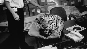 Trading to Extinction