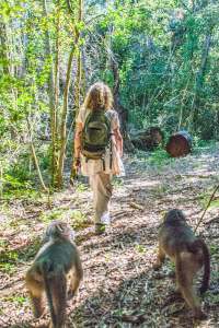 Baboon Forest School