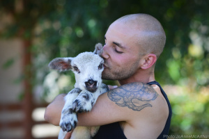 We Animals | Jo-Anne McArthur