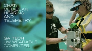 Cetacean Hearing And Telemetry