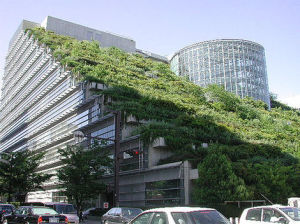 Green Roof
