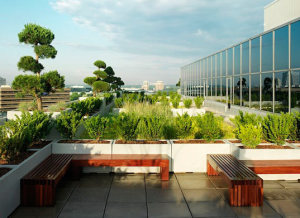 Green Roof