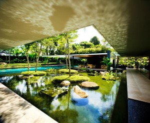 Urban Water Habitats